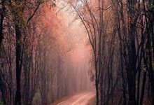 问鼎国际体育：NBA：福克斯加盟马刺 拉文赴国王.