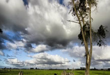 问鼎国际体育：[NBA]字母哥28+19+7 雄鹿力克掘金.