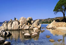 [乒乓球]赵子豪、袁励岑获得全运会男单决赛阶段资格.